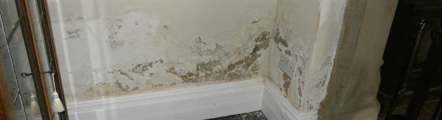 Professional Rising damp treatment Guidance - Property Care Association